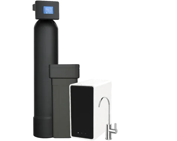 Whole-home water filtration system